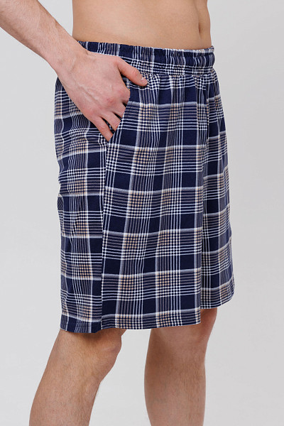 № 1743/1 Шорты мужские